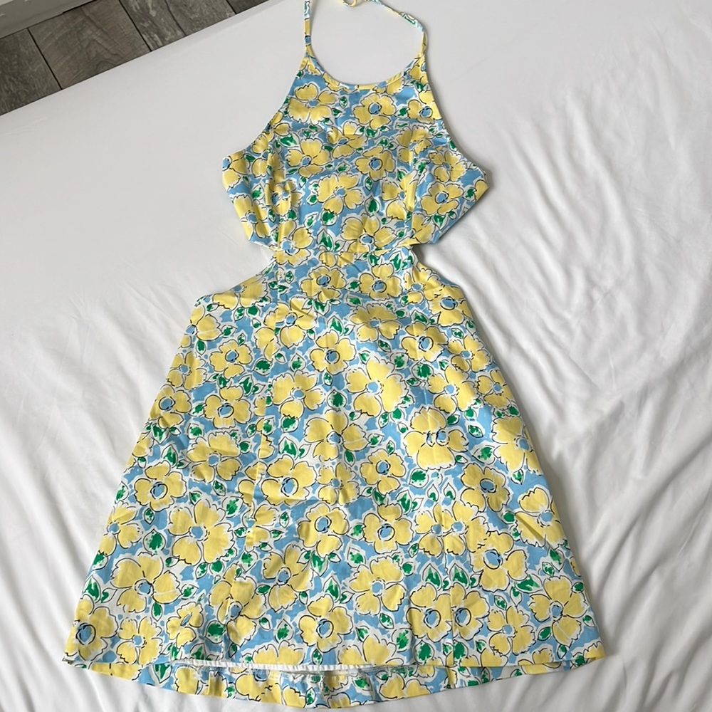 Zara Dress